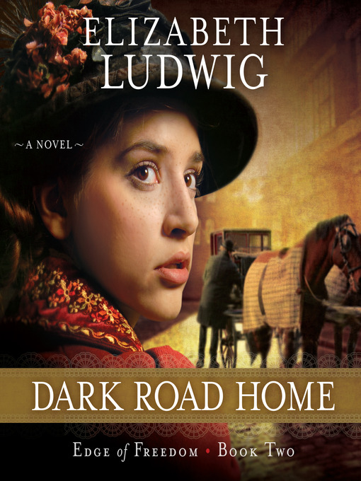 Title details for Dark Road Home by Elizabeth Ludwig - Available